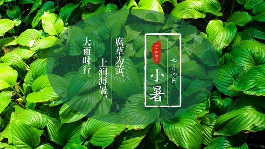 小暑8.jpg